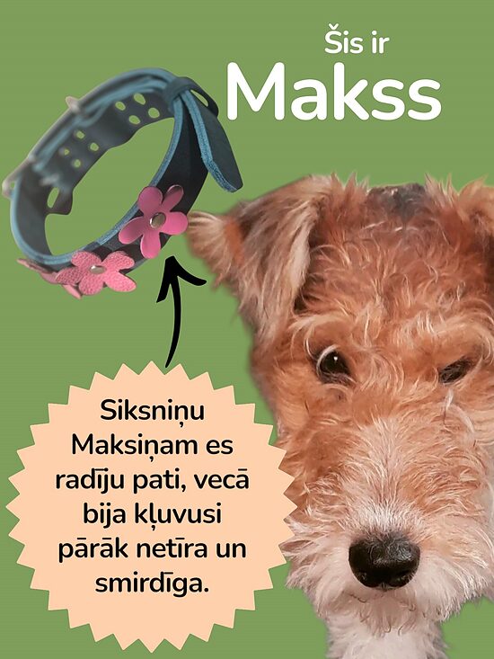 ĀDAS KAKLA SIKSNA MĪLULIM